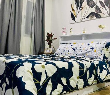 Santa Rosa Apartamento | SMDC Park Residences Condo Unit 417 near SM City Sta Rosa Laguna