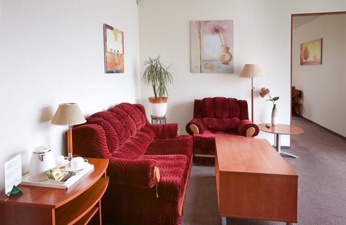 Panevezys Hotel | Smelyne