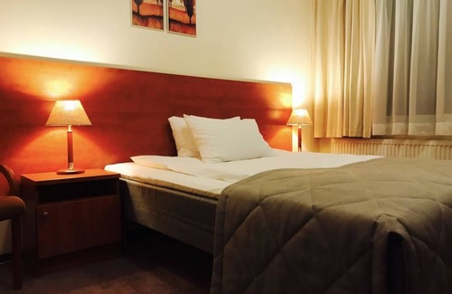 Panevezys Hotel | Smelyne