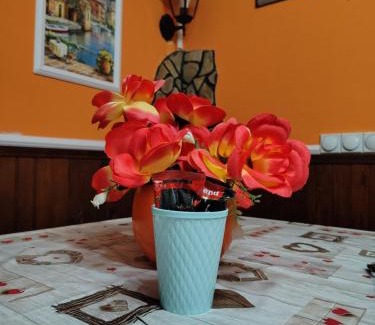 Nisava District Apartamento | Smestaj Bojanine Vode