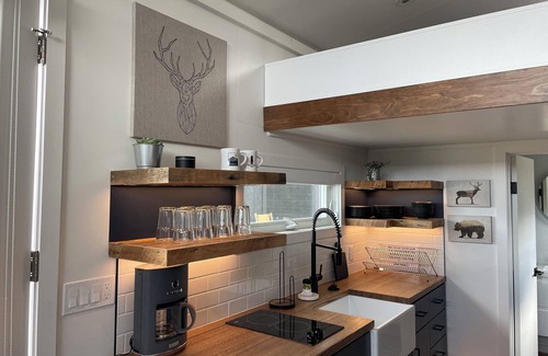 Ketchum Cabina | Smiley Creek Lodge