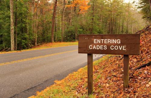 Black Bear Falls Casa | Smoky Mountain Escape 3BR3BA Cabin w Hot Tub, Game Room, & Resort Pool , WIFI, Resort Pool