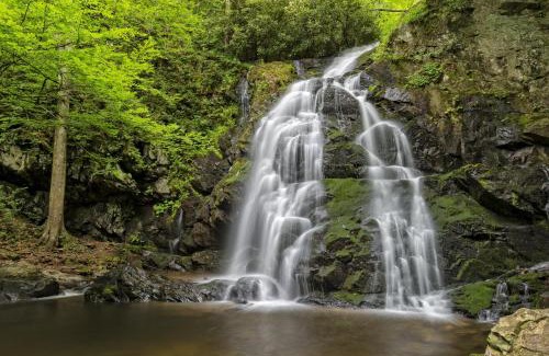 Black Bear Falls Casa | Smoky Mountain Escape 3BR3BA Cabin w Hot Tub, Game Room, & Resort Pool , WIFI, Resort Pool