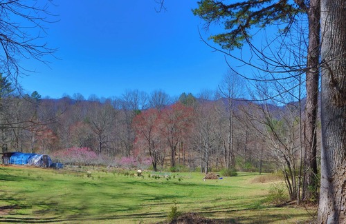 Franklin Casa | Refugio escénico de las Montañas Humeantes en el Bosque Nantahala, a 5 millas de la ruta de los Apalaches
