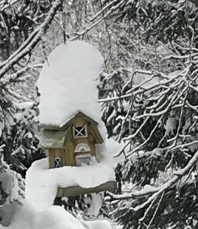 Dolni Morava Casa | Sněženka