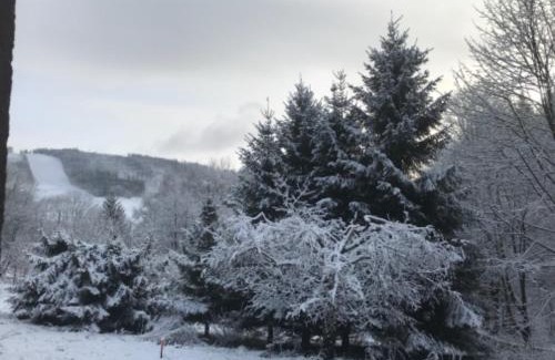 Dolni Morava Casa | Sněženka