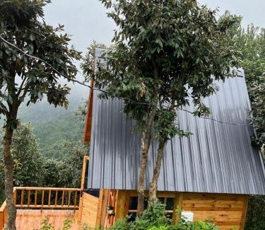 Kaul Casa | Snovika (The Organic Farms)