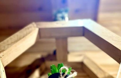 Kaul Casa | Snovika (The Organic Farm)