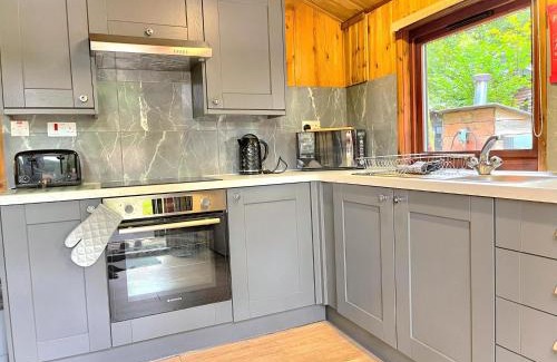Llanybri Chalet De Esquí | Snowdrop 13-Hot Tub-Woodlandlodges-Carmarthenshire