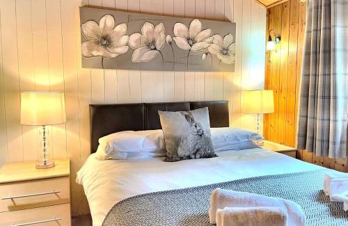 Llanybri Chalet De Esquí | Snowdrop 13-Hot Tub-Woodlandlodges-Carmarthenshire