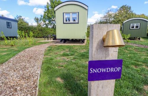 Ashby cum Fenby Casa | Snowdrop