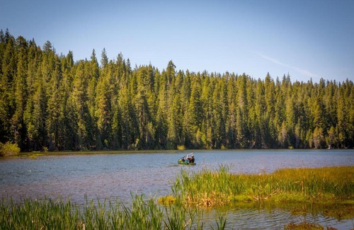 Emigrant Gap Complejo | Snowflower Camping Resort Wheelchair Accessible Cottage 8