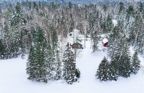 Stratton Cabina | Snug cabin in trees with fireplace & W/D near skiing, hiking, & lake - dogs OK