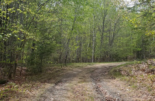 Bingham Cabaña | Snug Rustic Cottage minutes from Beautiful Wyman Lake in Moscow, ME