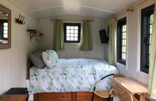 Hadlow Down Cabina | Snug & Secluded shepherds hut with balcony over lake.