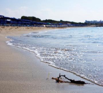 Ayia Napa Hotel | So Nice Beach Resort