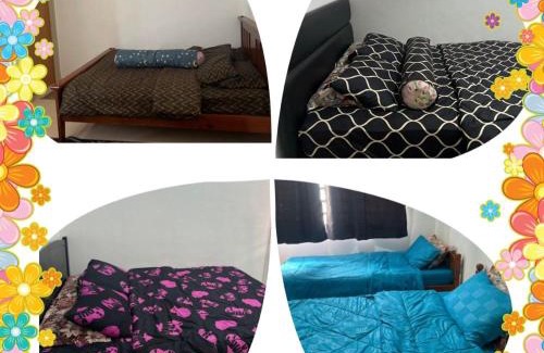 Gual Periok Casa | Sobey Laris Homestay RP
