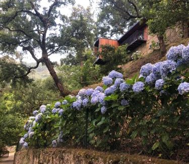 Parada de Bouro Casa | Sobreiro Valley - Casa Firmino