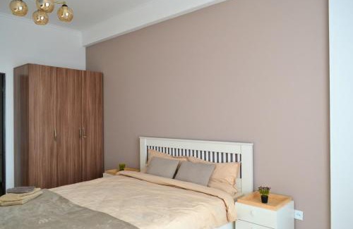 Riscani Apartamento | Socoleni City Flat