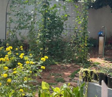 Mysore Casa | Sogni D oro