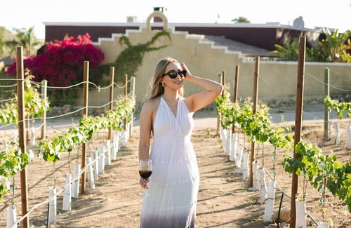 Valle de Guadalupe Cabina | Sol del Valle