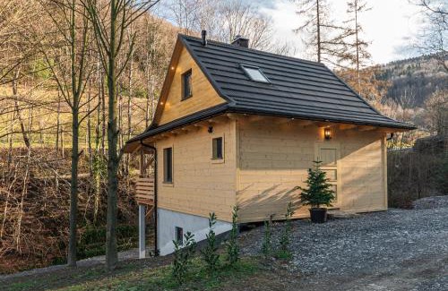 Laskowa Chalet De Esquí | Solankowe Zacisze Żmiąca