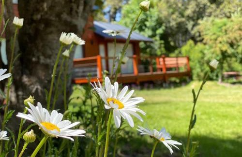 Angostura Apartamento | Solar Selvana - Casas de montaña