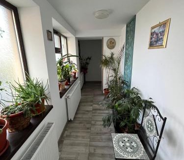 Galati Apartamento | Solaria Studio