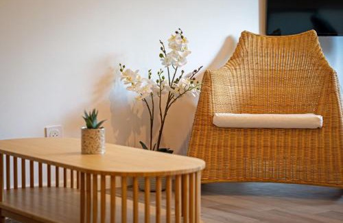 Quartier Saint-Clement - Jardin des Plantes Apartamento | Solent joli F2 proche Jardin des Plantes à Rouen