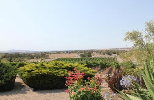 Paso Robles Casa | Solitude I