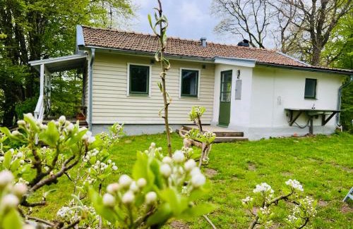 Listarum Casa | Solröje