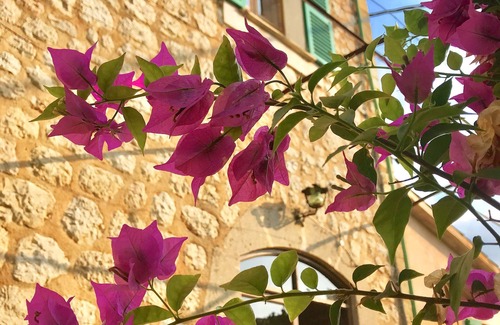 Sóller Casa | Son Bota, casa tradicional mallorquina con piscina en el corazón de Sóller