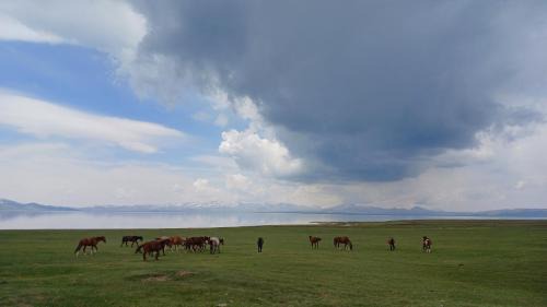 Naryn Region Casa | Son-Kul lake yurt camp Mirbek