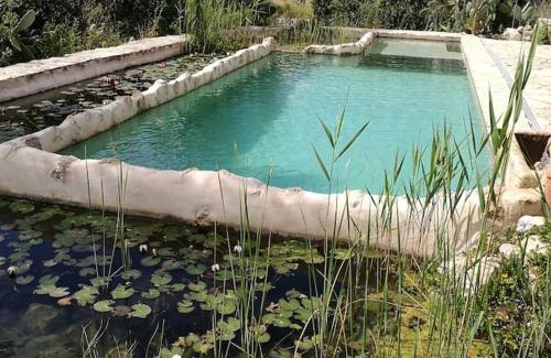 Son Macia Casa | Son Vell. Mallorca. Casa amb piscina ecològica.