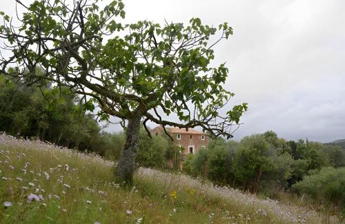 Son Macia Casa | Son Vell. Mallorca. Casa amb piscina ecològica.