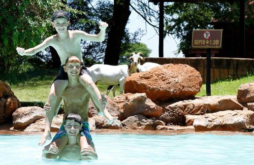 Bela-Bela Complejo | Sondela Nature Reserve & Spa Moselesele Tents