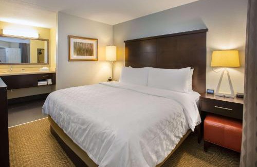 Florida Central Atlantic Coast Hotel | Sonesta ES Suites Orlando - Lake Buena Vista