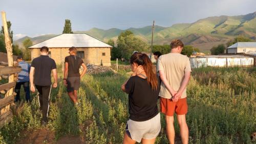 Naryn Region Casa | Song Kol Horse Riding Flex Travel Guests House