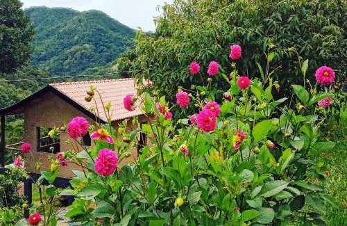 Goncalves Casa | Sonho na Serra Chalé 2