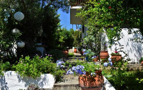 Gerakini Casa | Sonia's House with Garden