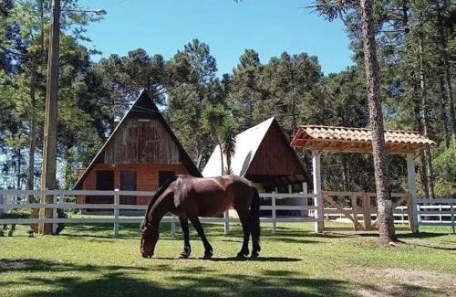 Mafra Apartamento | Sonnenblumen chalet