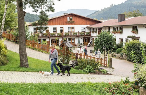 Kickenbach Apartamento | Sonneneck, 35 sqm, 1 bedroom, max. 2 people