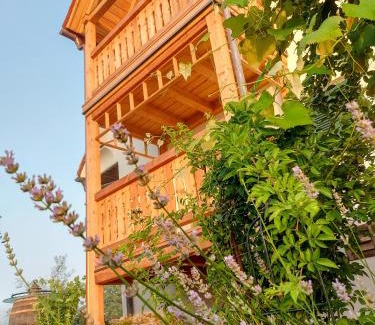 Feldbach Apartamento | Sonnenhaus Grandl