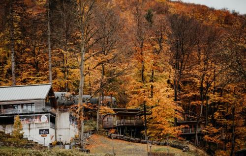 Bad Harzburg Hotel | Sonnenresort Ettershaus