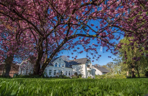Mohrkirch Apartamento | Sonnenscheinwohnung - Ferienhof Baustrup