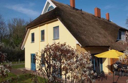 Puddemin Casa | Sonniges Reetdachhaus