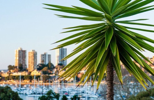 Rushcutters Bay Apartamento | Ático sofisticado en la exclusiva ubicación frente al mar * ¡25% DE DESCUENTO!