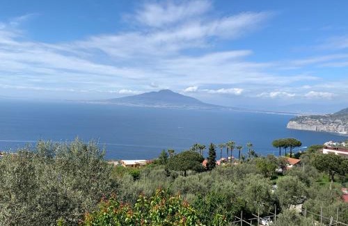 Priora Cama Y Desayuno | Sorrento Hills