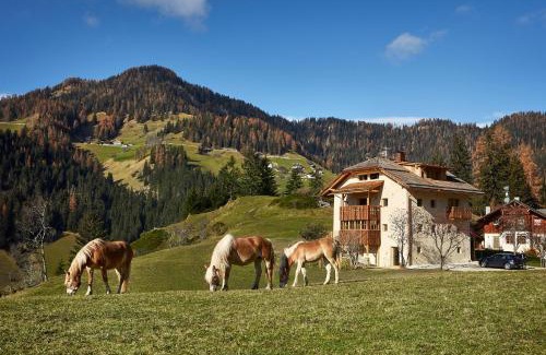 Badia Chalet De Esquí | Sotciastel Antico Chalet