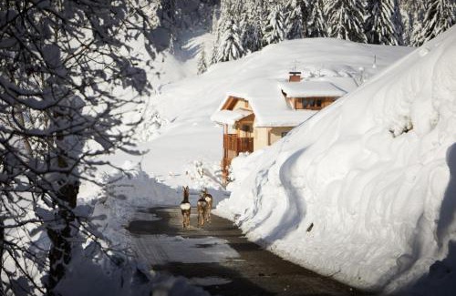 Badia Chalet De Esquí | Sotciastel Antico Chalet